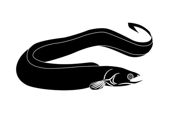 Eel Vector Design Solid Color Graphics