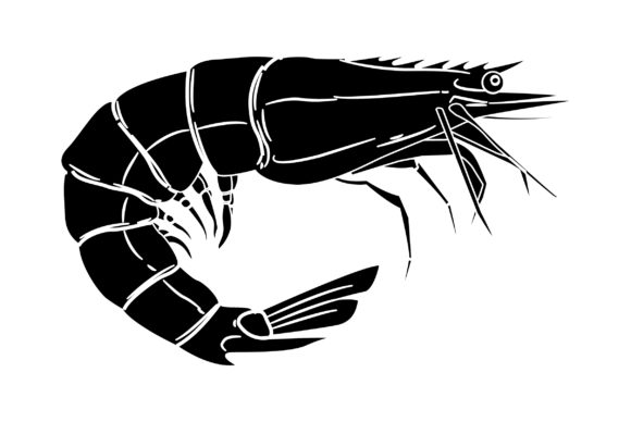 Shrimp Vector Design: Graphics and Illustrations